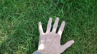 touching grass reveal (1k special)