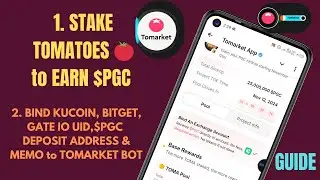 Tomarket news: STAKE and BIND KUCOIN, BITGET,GATE IO EXCHANGE UID, $PGC deposit address,MEMO to PGC