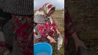 🤔 Установка чума 