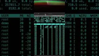 Check Memory Usage (Ubuntu 22.04) - top