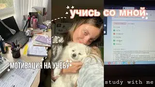 учись со мной☀️подготовка к егэ 2023,мотивация на учёбу, back to school🧸