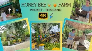 Honey Bee 🐝 🍯 Farm | Phuket | Thailand | 4K