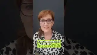 Какого цвета ваше окружение?