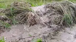 2024/6/5:  Не вошедшие в предыдущие 2 ролика кадры видео вечерней прогулки вдоль пляжа 