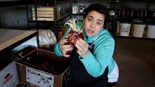 You win some and you lose some!