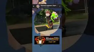 What is this 