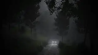 Driving In dark forest - Blender Eevee render