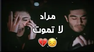 حالات واتس اب حزينة مراد وحياة 💔 - حالات واتساب حب