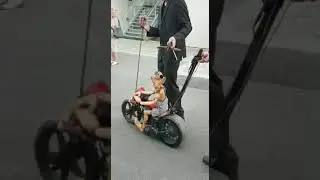 Крутой байкер.