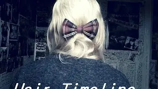 HAIR TIMELINE (UPDATED-2007-2014)