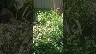 Кому отвечать ??...кому ???