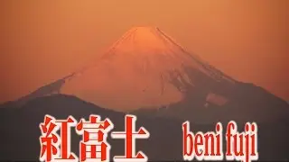 紅富士　Beni Fuji