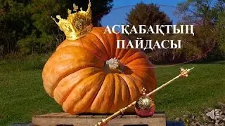 Асқабақтың пайдасы
