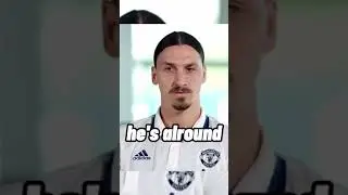 zlatan, lions don't compare themselves with human