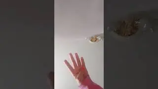 27 июня 2023 г.