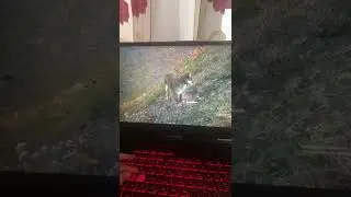 Кит ти маму мав?