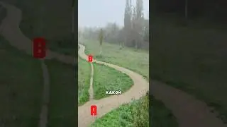 Using paths 