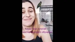 А у меня завтра муж возвращается с командировки