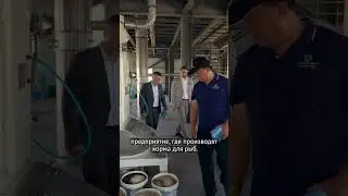 Что стало с заброшенным заводом в Кыргызстане?