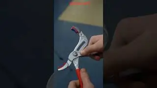 книпекс