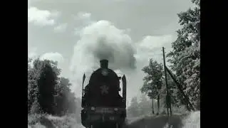 Великая Отечественная в БЕРЁЗОВЫХ СНАХ