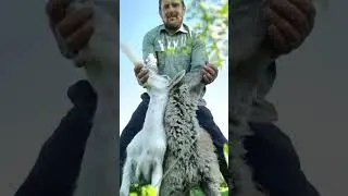 Живу в деревне! 