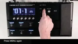 GT 1000 and EV 1 WL