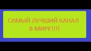 СВИНЬИ КАК БИЗНЕС - ЛУЧШИЙ КАНАЛ В МИРЕ!