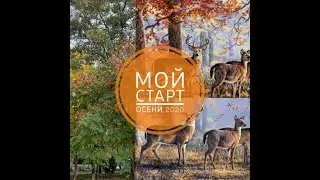 Мережка, Merejka К-168 Under the Oaks Под дубами  