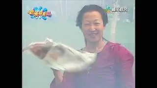 2021.01.19●爆笑一籮筐(人造強風)●建立播放清單-重新整理上傳的影片(part 1~ part 5)