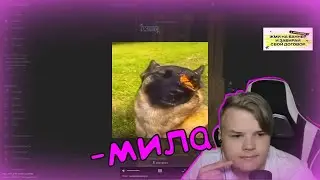 Каша смотрит предложку