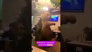 Рамазан танцует Лезгинка!!!