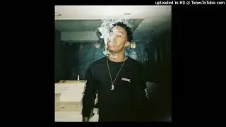 Old Playboi Carti & Beatpluggz & Mexikodro Type Beat 