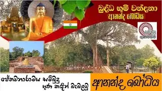 Dabadiwa wandana - Ananda Bodiya අදටත් විරාජමාන ජේතවනාරාමයේ ආනන්ද බෝධිය ☸ 🇮🇳
