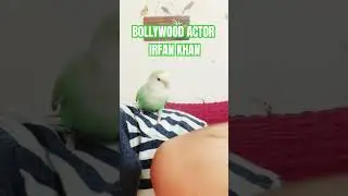 Bellwood actor irfan Khan saying in his last time