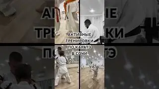 Тренер - чемпион мира по каратэ теперь в Сочи! Ведет набор детей и взрослых по каратэ киокушинкай🥋