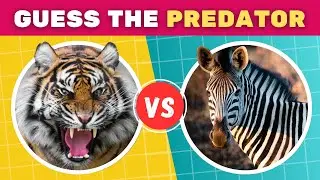 Predator vs Prey Animal Quiz 🦁🦌