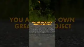 You Are Your Own Greatest Project