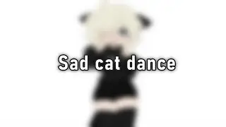 SAD CAT DANCE MEME / experimental animation