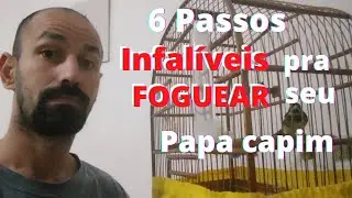 6 Passos INFALÍVEIS para esquentar seu coleiro e Papa capim.