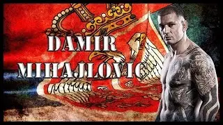 DAMIR 