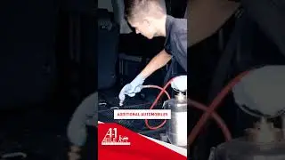 Fumigation: The Most Effective Bed Bug Treatment A-1 Able Pest Doctors