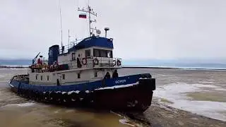 Буксир Борей