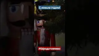 #бородатоепиво 2024