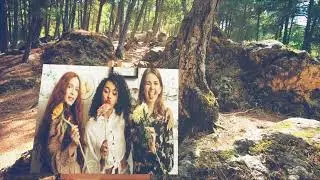 Magic Forest 😍 Chill Out song with special epicVideo edition of nature places