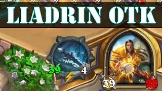 Blood Matriarch Liadrin OTK | Hearthstone March of the Lich King