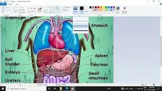 Image mapping in HTML