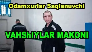 ОДАМХУРЛАР САКЛАНУВЧИ КОРА ДЕЛФИН КАМОКХОНАСИ ХАКИДА