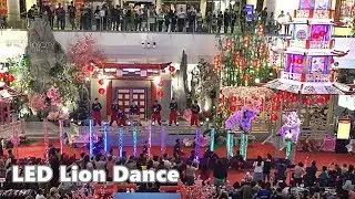 2019 Acrobatic LED Lion Dance