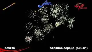 РС5230: Ледяное сердце